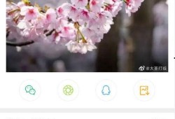 小花爆料的是谁的视频啊,热门视频幕后真相曝光