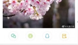 小花爆料的是谁的视频啊,热门视频幕后真相曝光