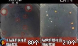 细菌实验室爆料视频大全,震撼爆料视频大全深度解析