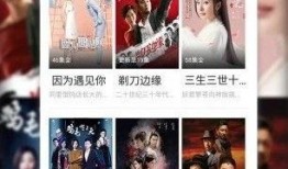 世界爆料女王视频播放下载,视频播放下载背后的秘密