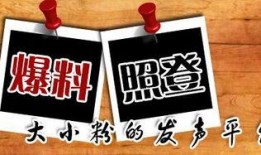 重庆爆料九龙坡新闻,重庆九龙坡最新爆料事件回顾
