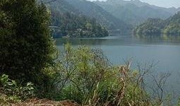 爆料罗村水库最新消息视频