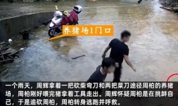 崇义爆料行凶案件视频,视频揭露惊人真相