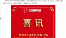 中国彩票爆料最新消息,揭秘大奖得主神秘身份及中奖过程！