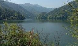 爆料罗村水库最新消息视频