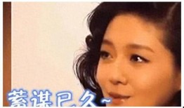 娱乐圈真实事件爆料是真的吗,揭秘真相与谣言的交织