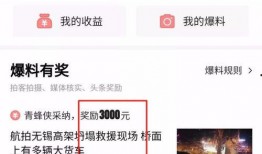 小美的头条爆料视频,揭秘头条视频背后的惊人真相！