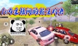 吃鸡新玩法爆料视频,视频爆料带你领略全新竞技盛宴