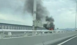 杏林大桥最新爆料视频