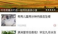 内蒙古新闻爆料,揭秘草原神秘事件