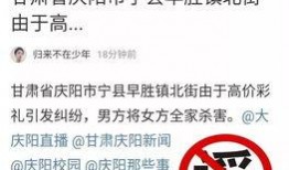高价彩礼爆料案例大全最新,案例大全深度剖析