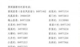 重装上镇最新爆料摄像头,神秘摄像头揭秘，科技与安全的完美融合