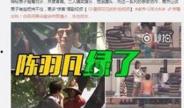 蛇叔爆料视频大全集下载,揭秘幕后真相，深度解析热门事件