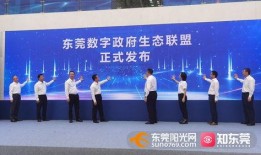 东莞中医院爆料新闻视频,内部视频揭露惊人真相