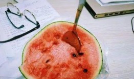 徽县网红大宝吃瓜事件,揭秘网络舆论的风暴与真相