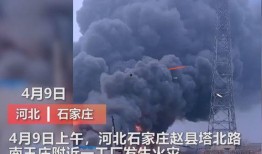 砀山最新事件爆料视频曝光,视频曝光揭示惊人真相！