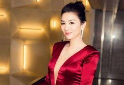 王阳爆料黄奕视频,真相与争议