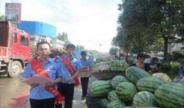 徽县网红大宝吃瓜事件,揭秘网络舆论的风暴与真相