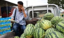 徽县网红大宝吃瓜事件,揭秘网络舆论的风暴与真相