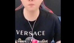 散打哥爆料视频,娱乐圈背后的惊人真相