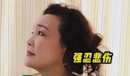 汪小菲全部爆料视频播放,揭秘背后真相与情感纠葛