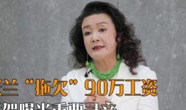 汪小菲全部爆料视频播放,揭秘背后真相与情感纠葛