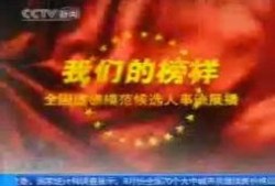 爆料新闻节目叫什么名字,揭秘真相，直击社会热点