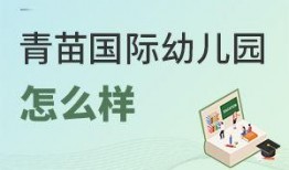 青苗幼儿园爆料视频播放,揭秘园所真实情况