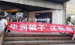 华润五期最新爆料,揭秘神秘项目背后的惊人真相